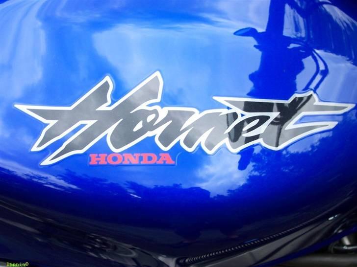 Honda CB 600 F Hornet billede 15