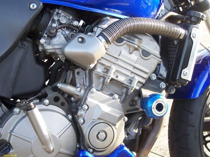 Honda CB 600 F Hornet billede 19