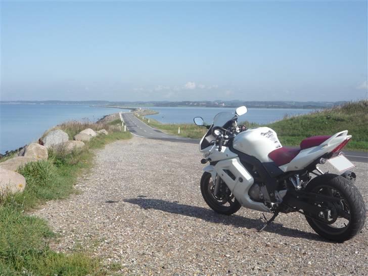 Suzuki SV650SA  **SOLGT** billede 14