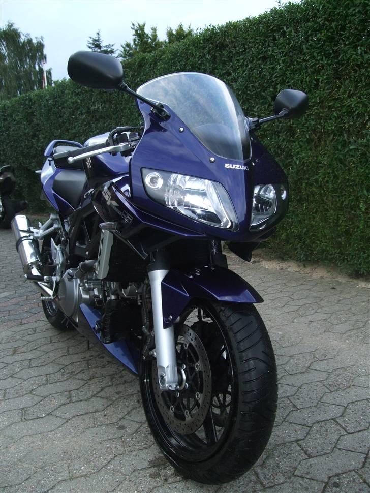 Suzuki SV 1000S billede 1