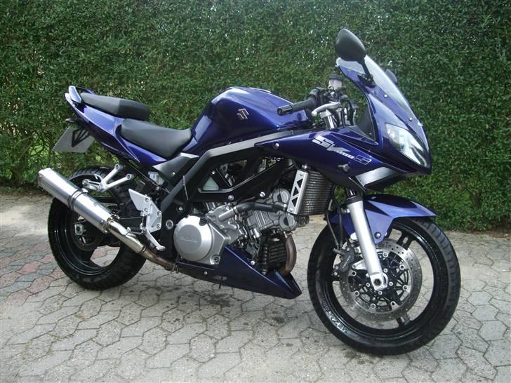 Suzuki SV 1000S billede 2