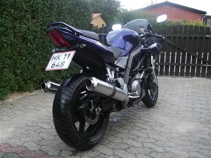 Suzuki SV 1000S billede 3