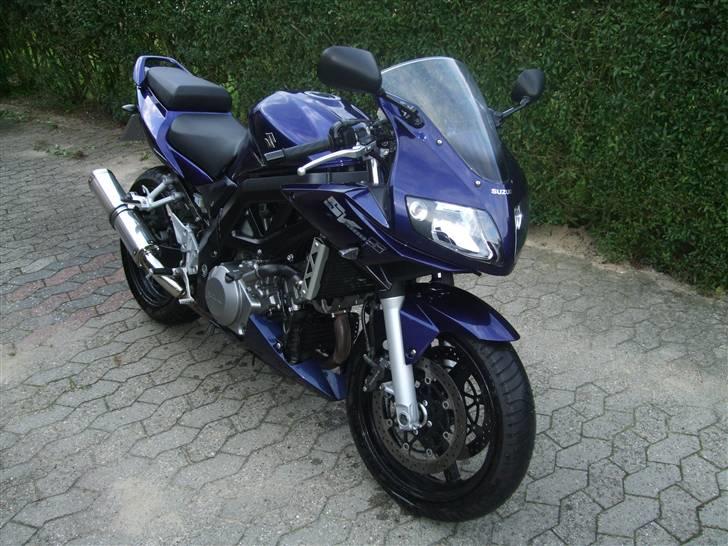 Suzuki SV 1000S billede 6