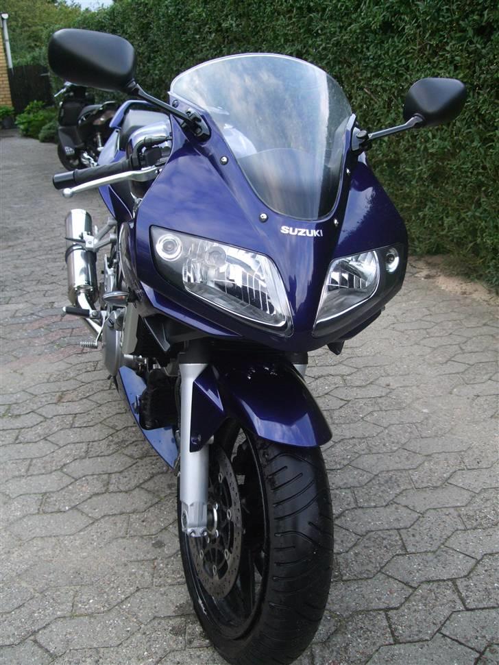 Suzuki SV 1000S billede 7