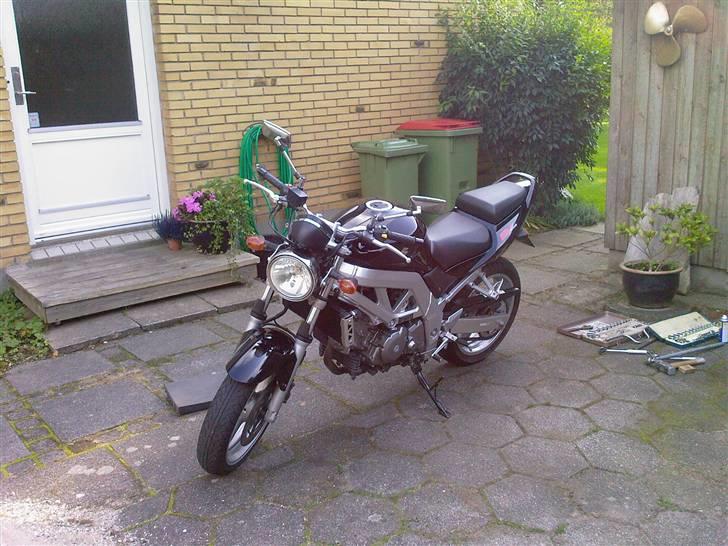 Suzuki Sv 650 Naked billede 1