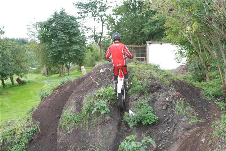 Beta Rev 3 270 trial billede 8