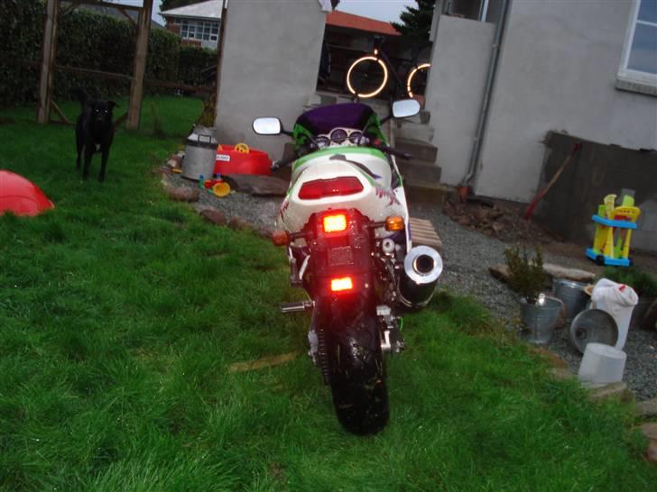 Kawasaki zx9r billede 5