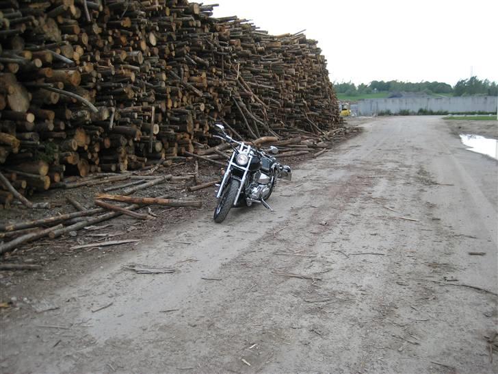 Yamaha XVS 1100 Dragstar  billede 14