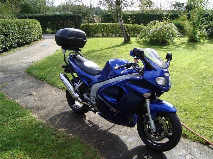 Triumph  Sprint st billede 3