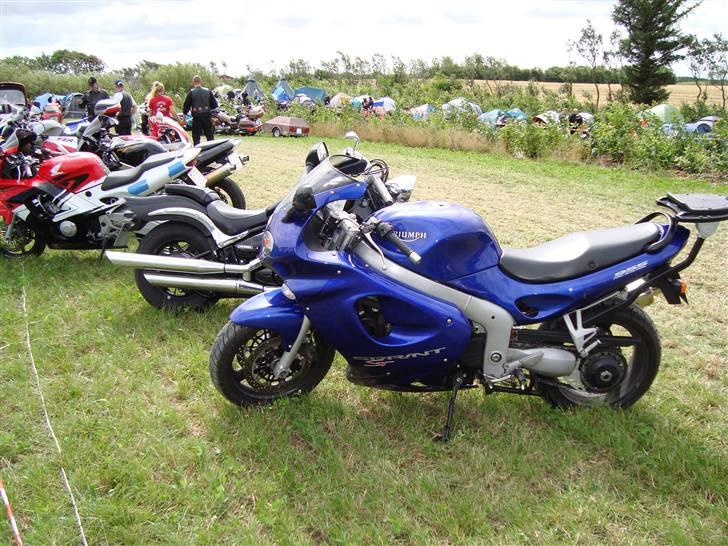 Triumph  Sprint st billede 8