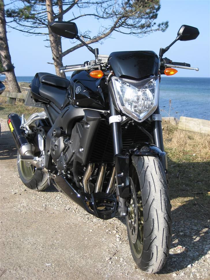 Yamaha FZ1-N billede 2