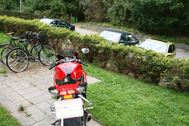 Suzuki GSX R  billede 11