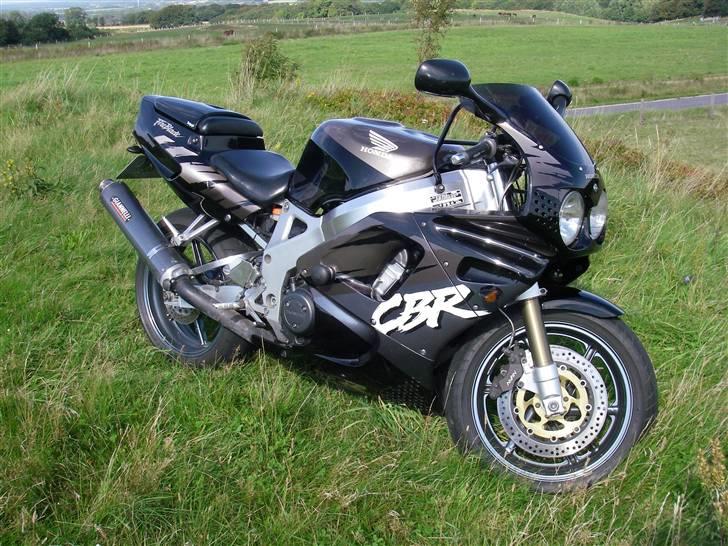 Honda CBR 900 RR SOLGT - Bladen på græs ! billede 1
