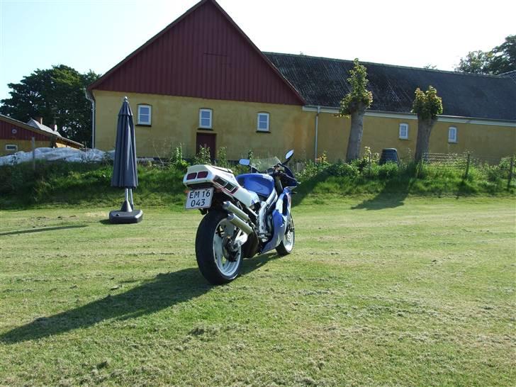 Suzuki RGV 250 Gamma billede 6