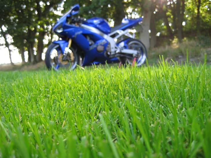 Kawasaki ZX6R billede 19