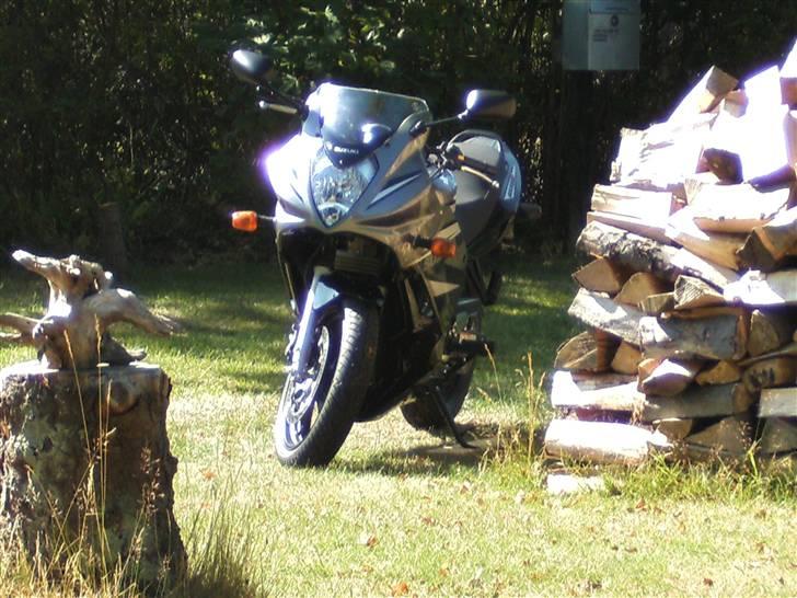 Suzuki GS 500 F(k7) billede 2