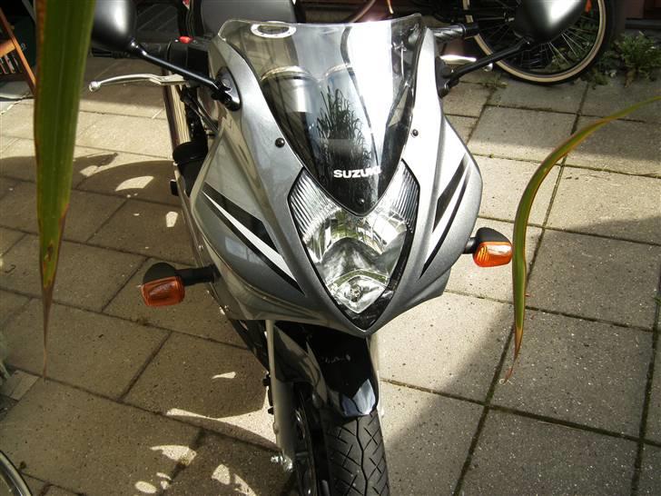 Suzuki GS 500 F(k7) billede 5