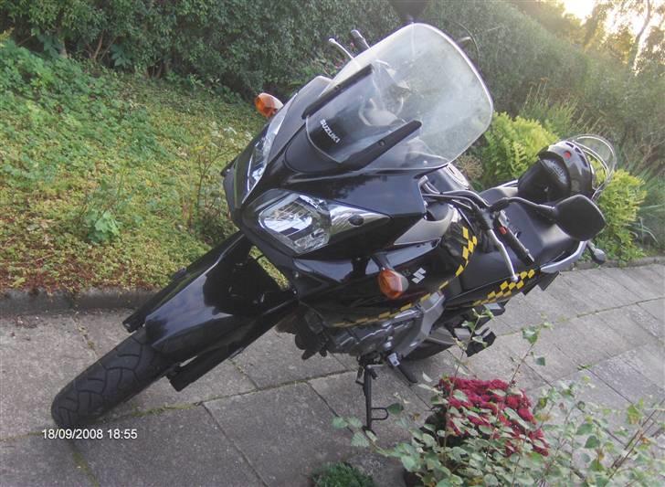 Suzuki DL 650 V-Strom billede 1