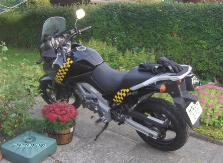 Suzuki DL 650 V-Strom billede 2