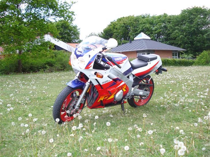 Yamaha FZR 600 billede 2