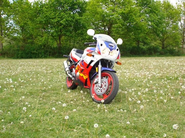 Yamaha FZR 600 billede 5