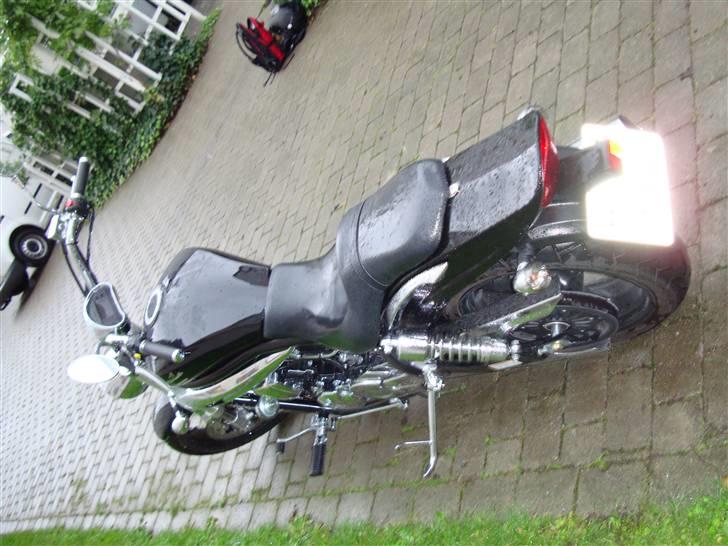 Hyosung Aquila GV 650 billede 3