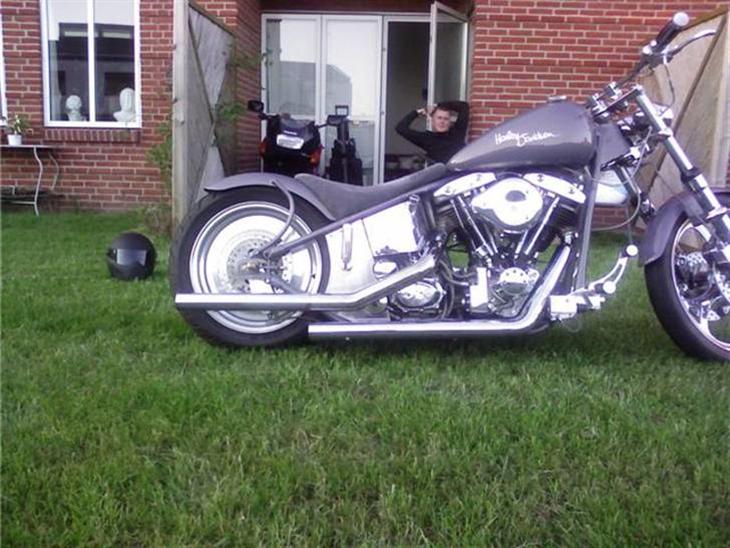 Harley Davidson Stivstel billede 1