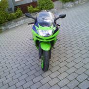 Kawasaki ZX6R Ninja