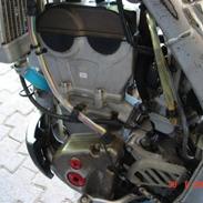 Kawasaki kx250f (SOLGT)