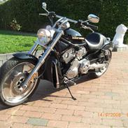 Harley Davidson V-Rod