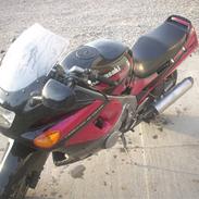 Kawasaki ZZR