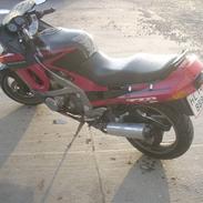 Kawasaki ZZR