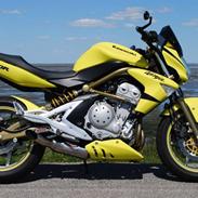 Kawasaki ER-6n - Streetbike