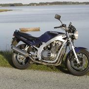 Suzuki gs 500 e