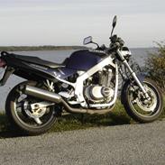 Suzuki gs 500 e