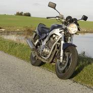 Suzuki gs 500 e