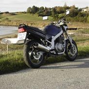 Suzuki gs 500 e