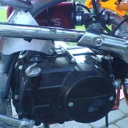 DB Motor Dirt Bike 125cc
