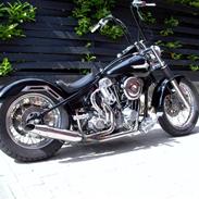 Harley Davidson hard ass