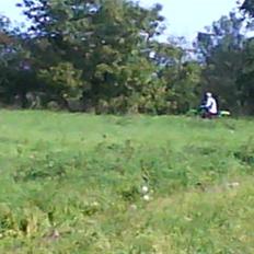 Kawasaki kx 250 solgt