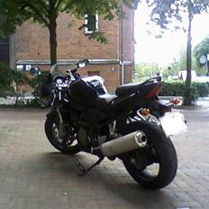Suzuki sv1000s (SOLGT)