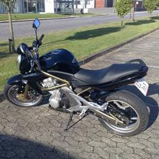 Kawasaki ER 6N