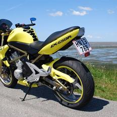 Kawasaki ER-6n - Streetbike