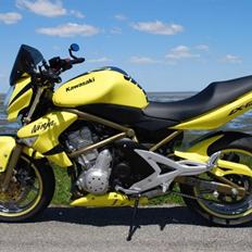 Kawasaki ER-6n - Streetbike