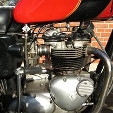 Triumph T 140 Bonneville