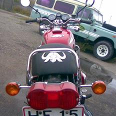 Suzuki GT 750 Vandbøffel