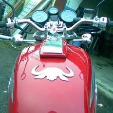 Suzuki GT 750 Vandbøffel