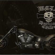 Harley Davidson Satori Bike