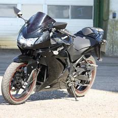 Kawasaki Ninja 250R