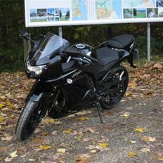 Kawasaki 250 R Ninja (SOLGT)